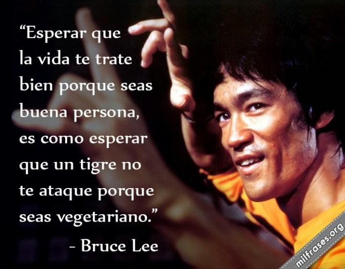 BRUCE LEE IMAGEN