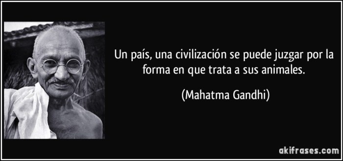frase-un-pais-una-civilizacion-se-puede-juzgar-por-la-forma-en-que-trata-a-sus-animales-mahatma-gandhi-112754.jpg